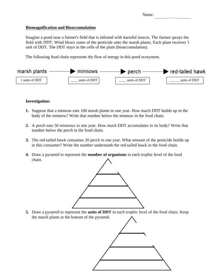 Worksheet on Biomagnification and Bioaccumulation