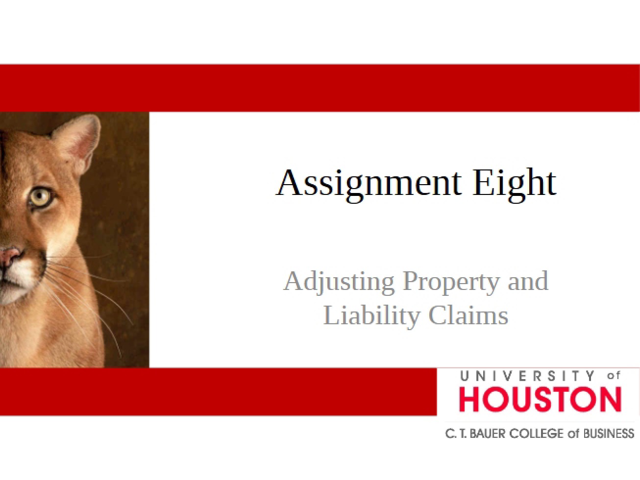 Assignment Eight