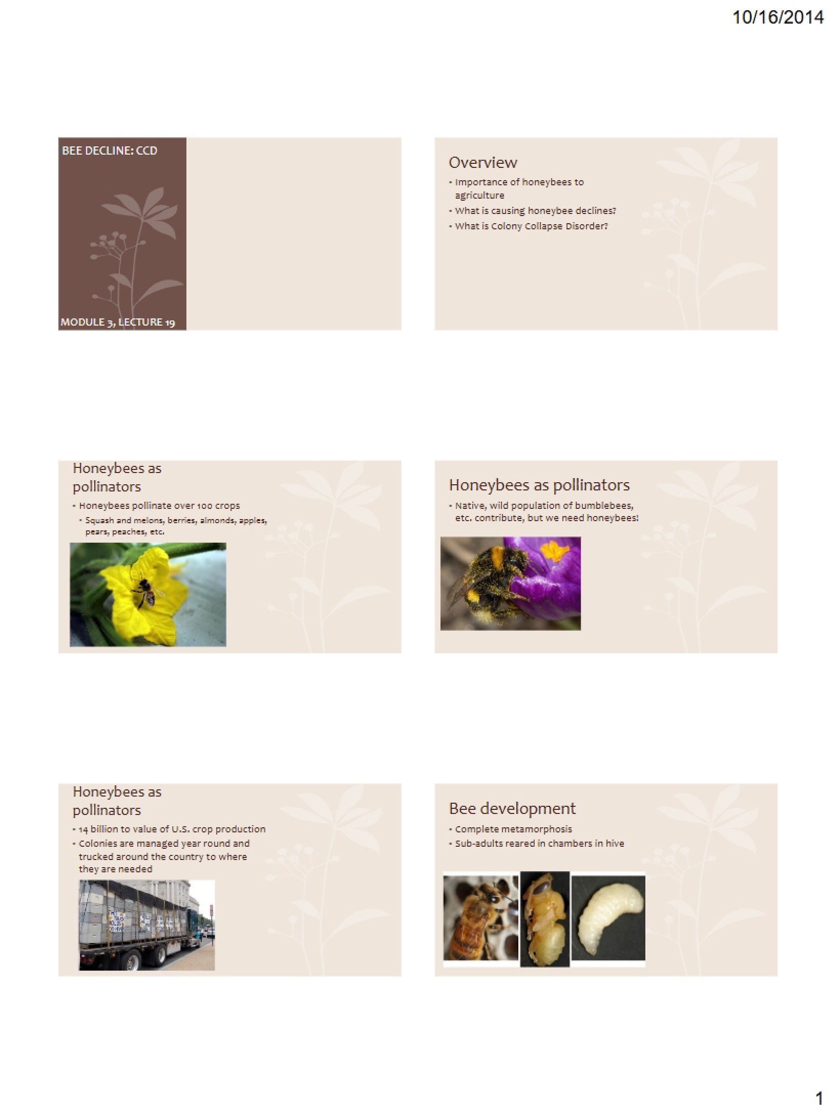 Lecture 19 Module Three