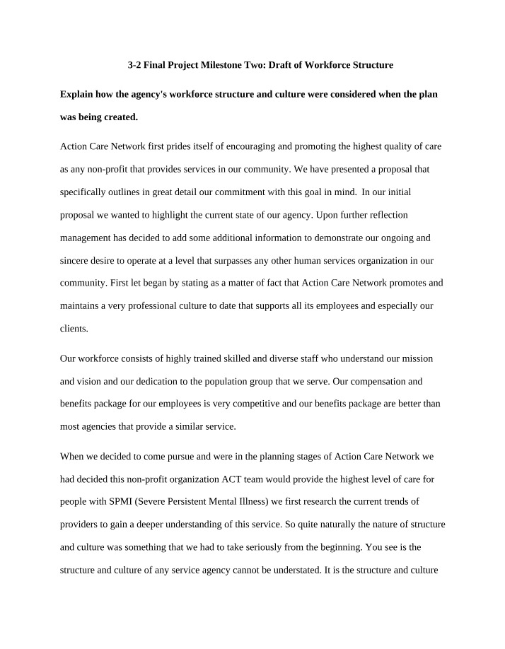 Workforce Structure Draft - Final Project Milestone Two
