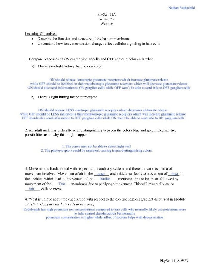 Basilar Membrane Structure and Function