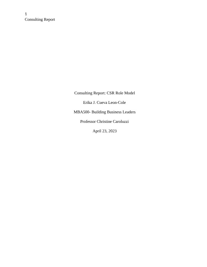 MBA500 Consulting Report