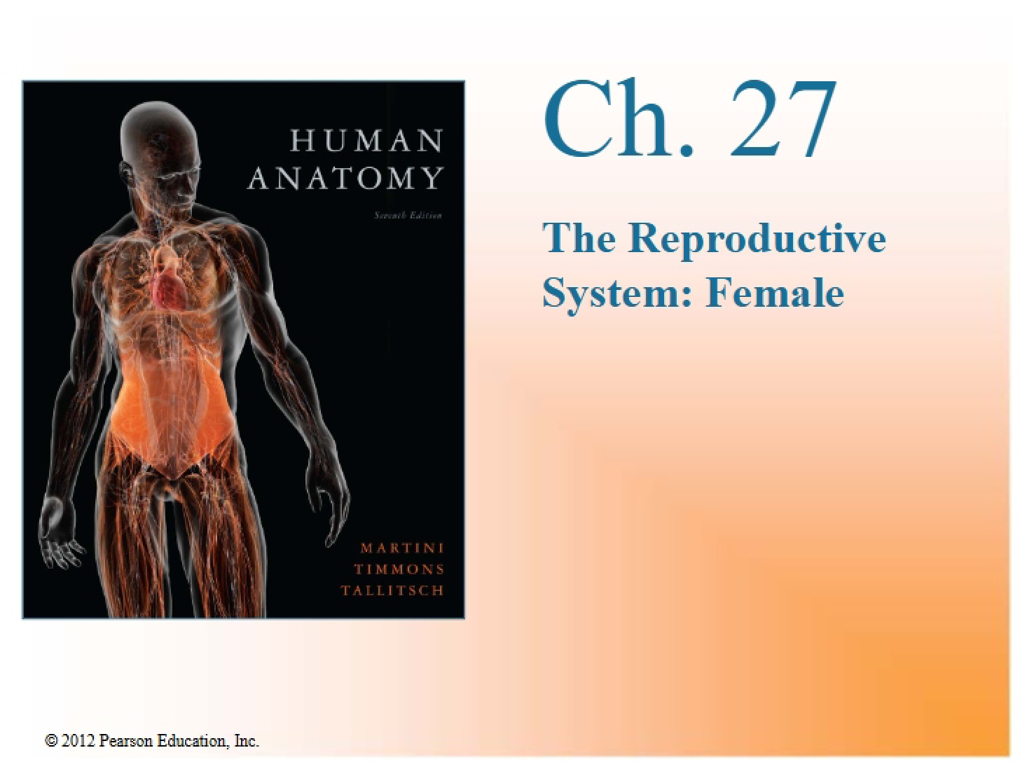 System of Female Reproduction Lecture 30
