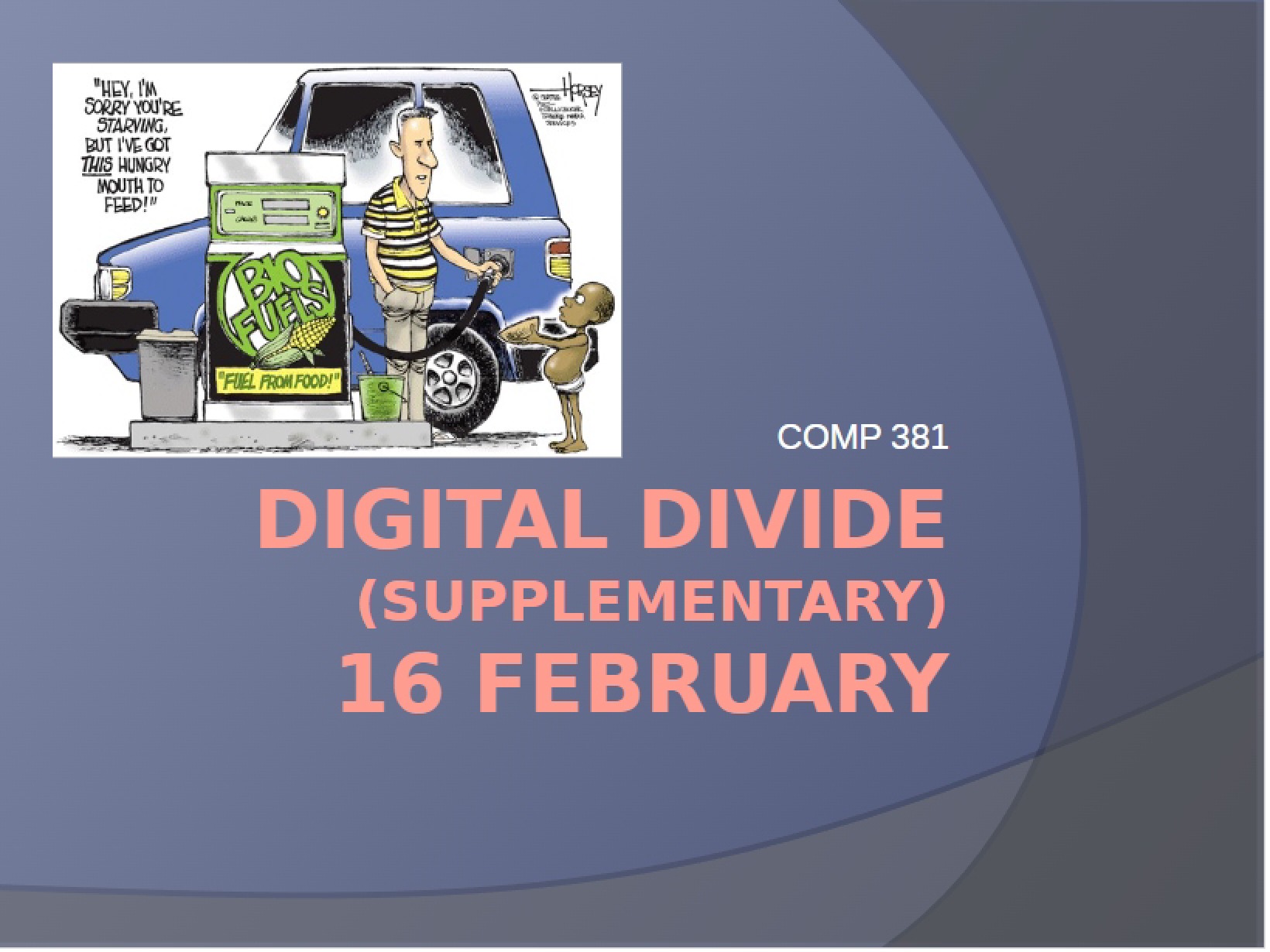 Supplementary Materials Digital Divide