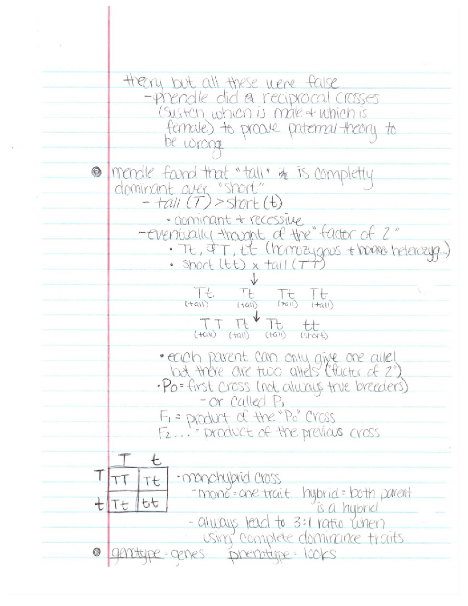 Genetics Class Notes