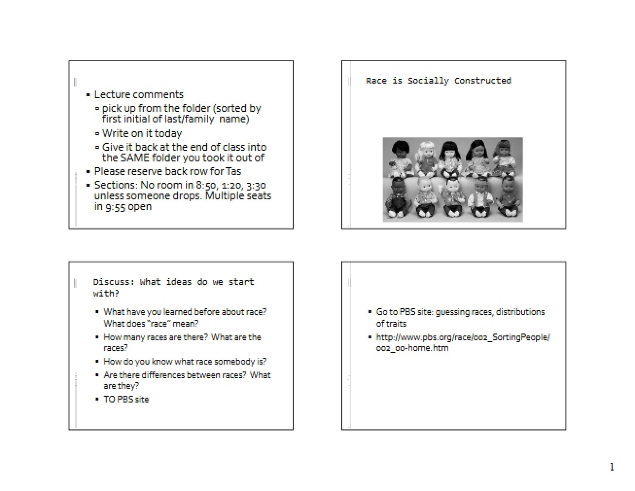 Notes from Lecture - Ethnic Movements in the US