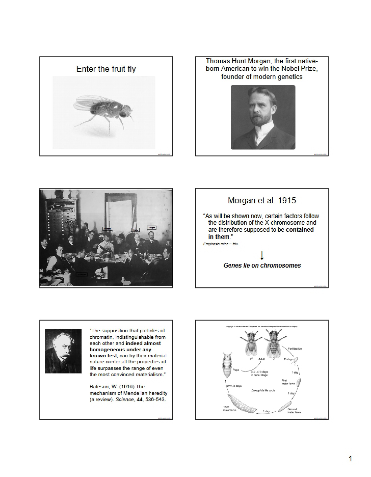 Notes from Lecture (4)