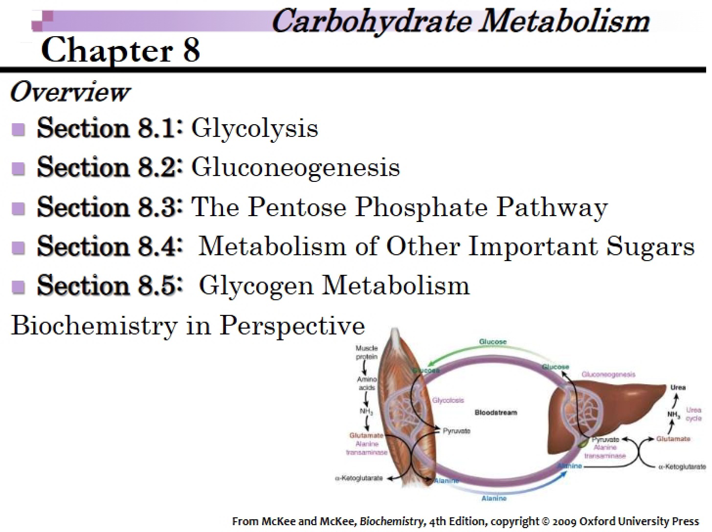 Template McKee Chapter 8 (Annotated)