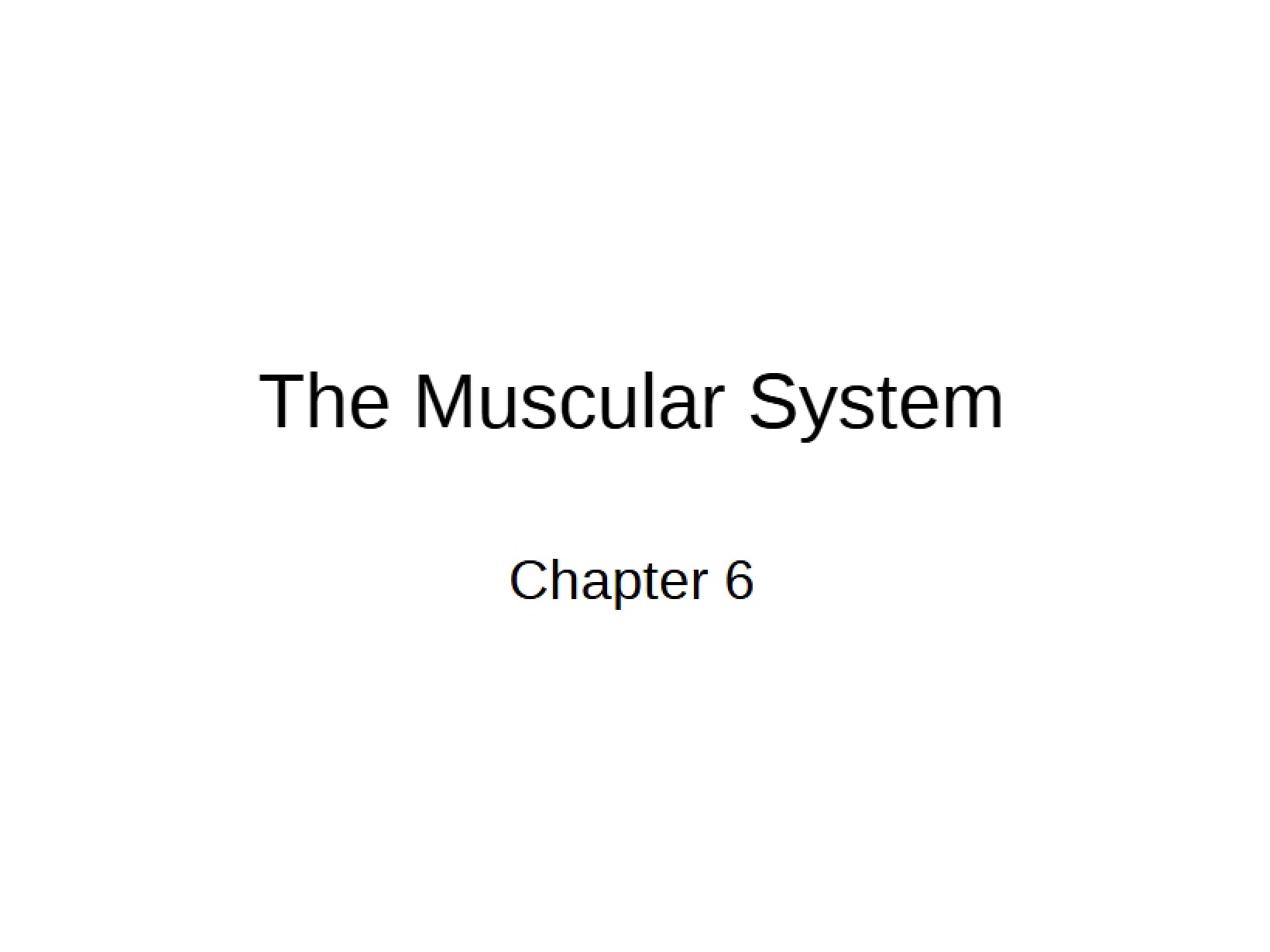 Overview of the Muscular System