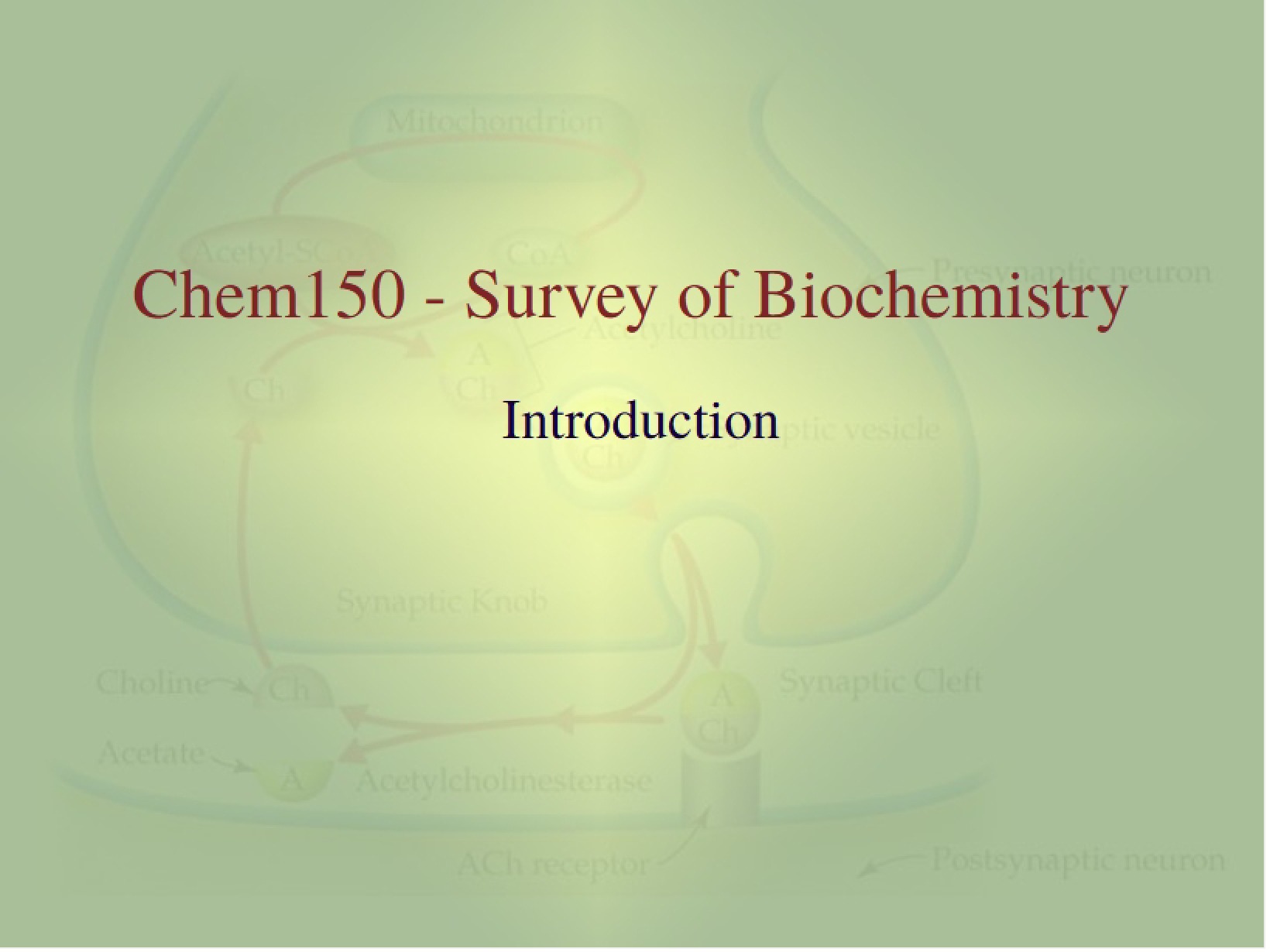 Introduction to Biochemistry Survey
