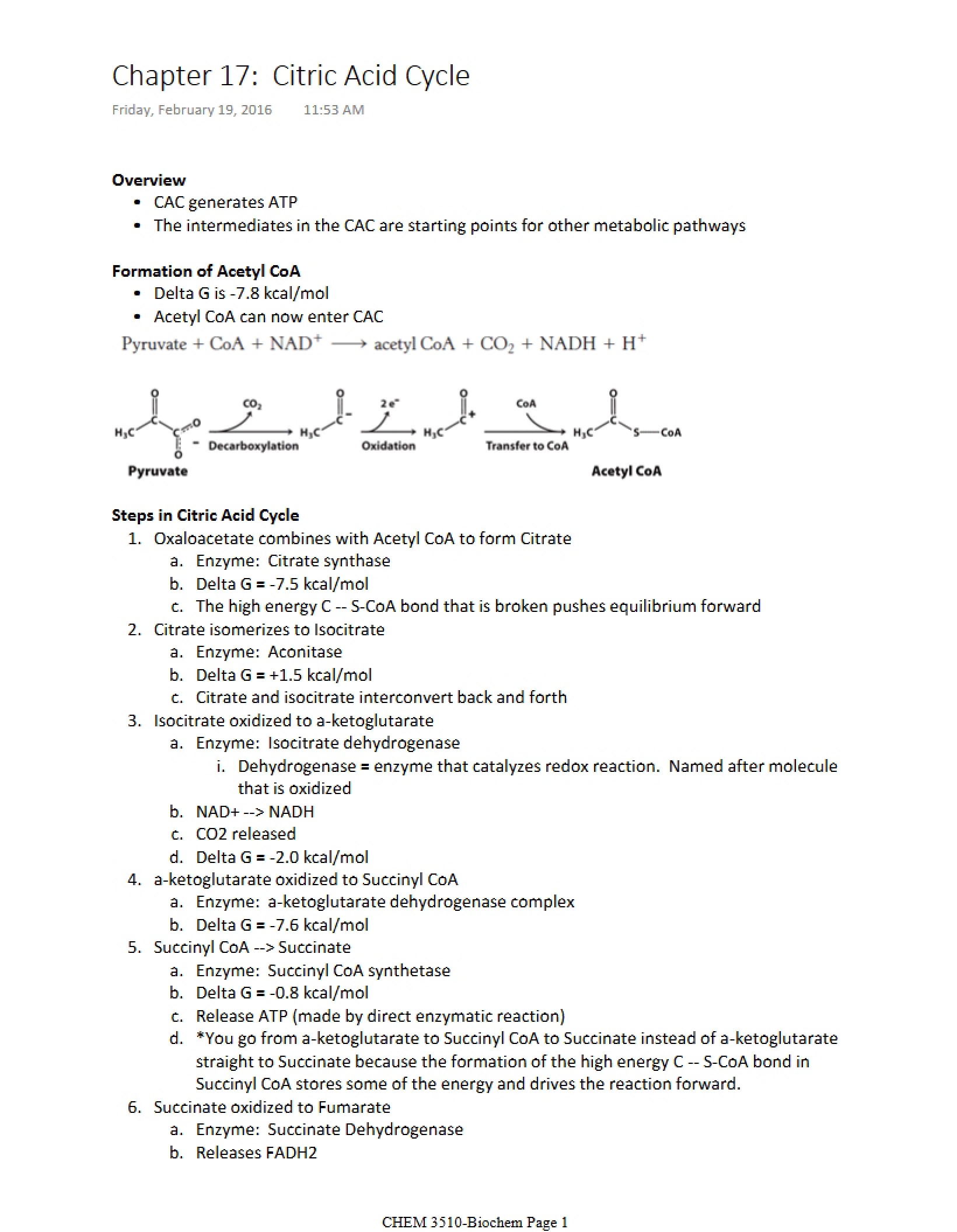 Citric Acid Cycle (Chapter 17)