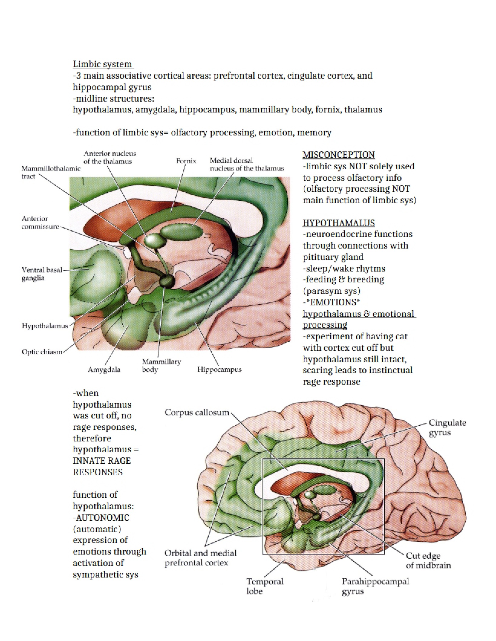 Lecture 22 Notes
