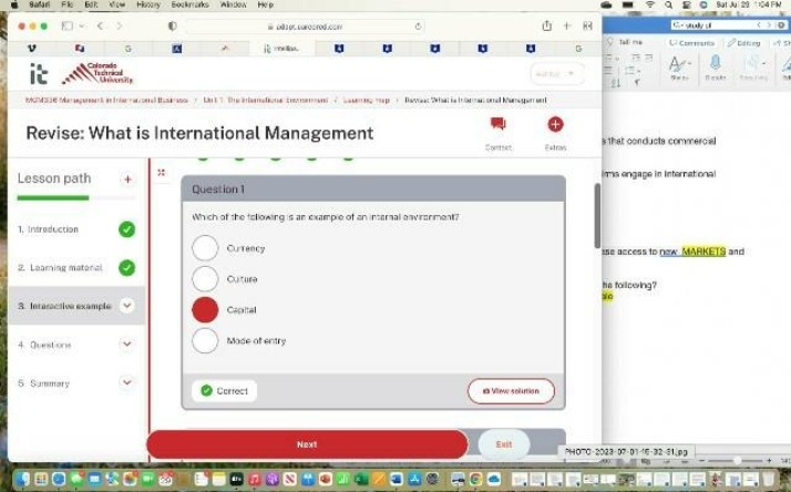 MCM338 - What is International Management