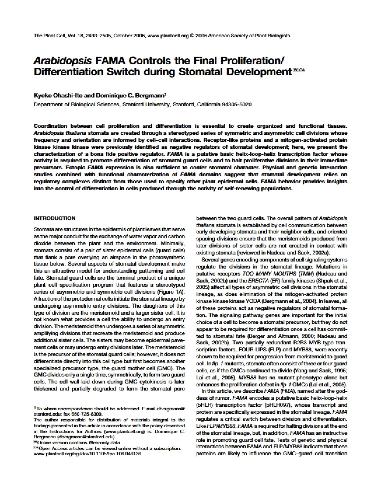Role of Arabidopsis FAMA in Development
