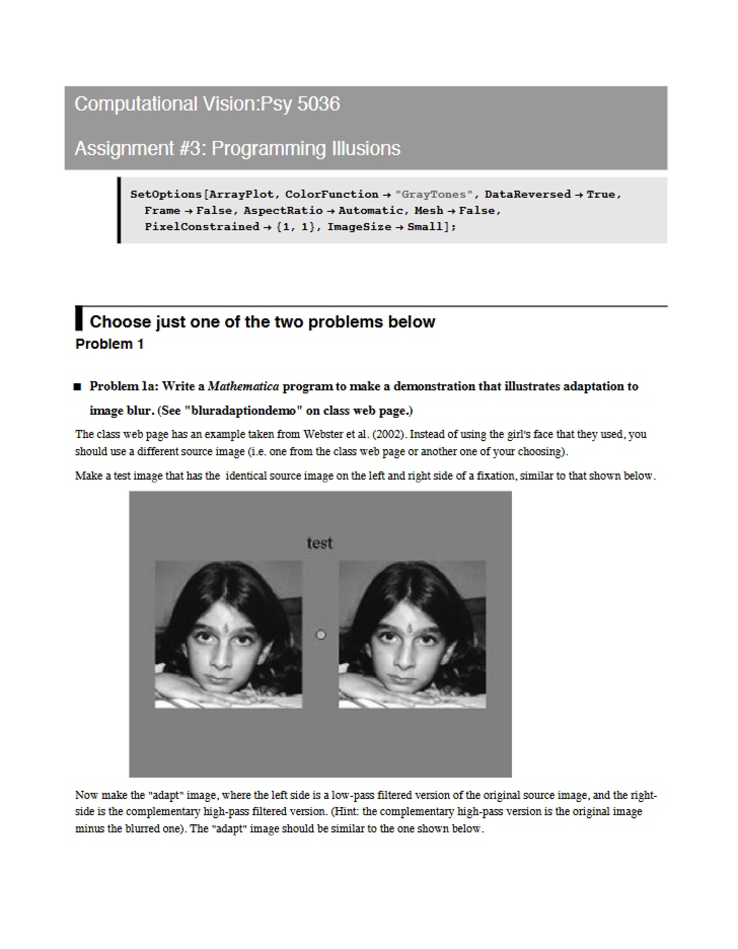 Illusions in Programming