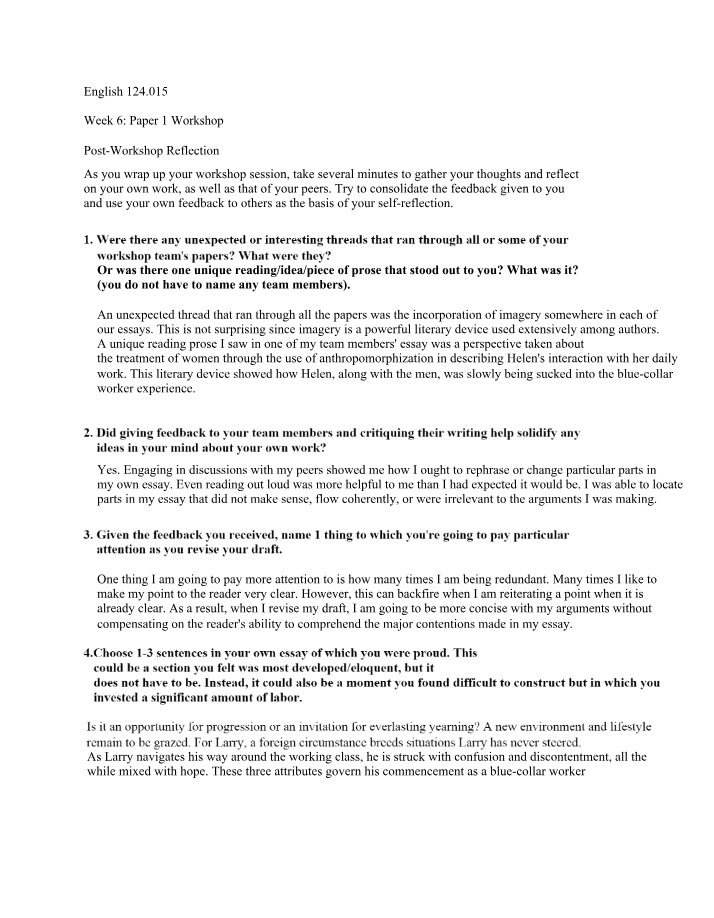 Workshop Feedback and Revision Strategies