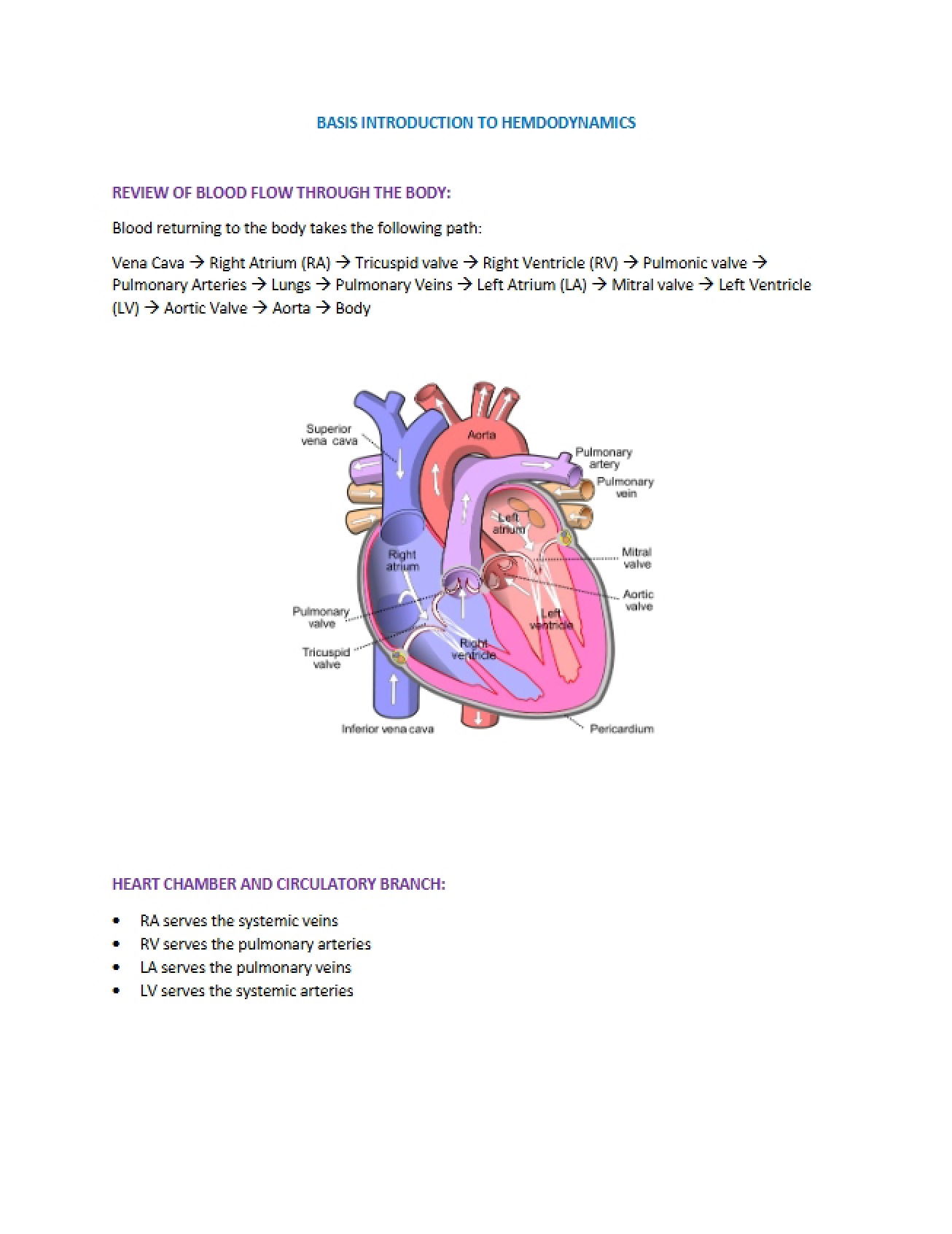 Hemodynamics Basic Introduction