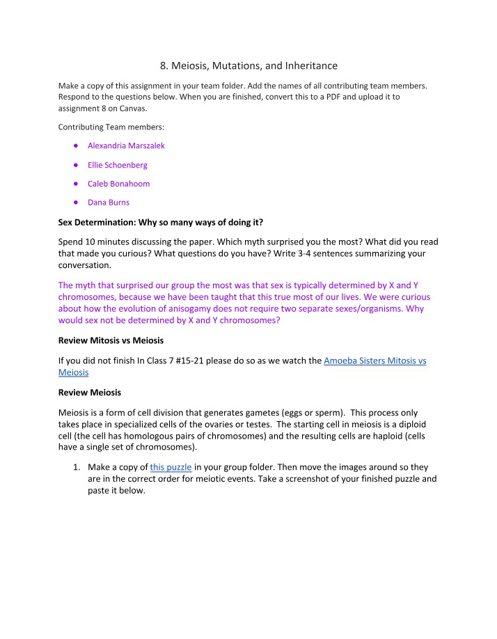 Assignment - Meiosis, Mutations, and Inheritance