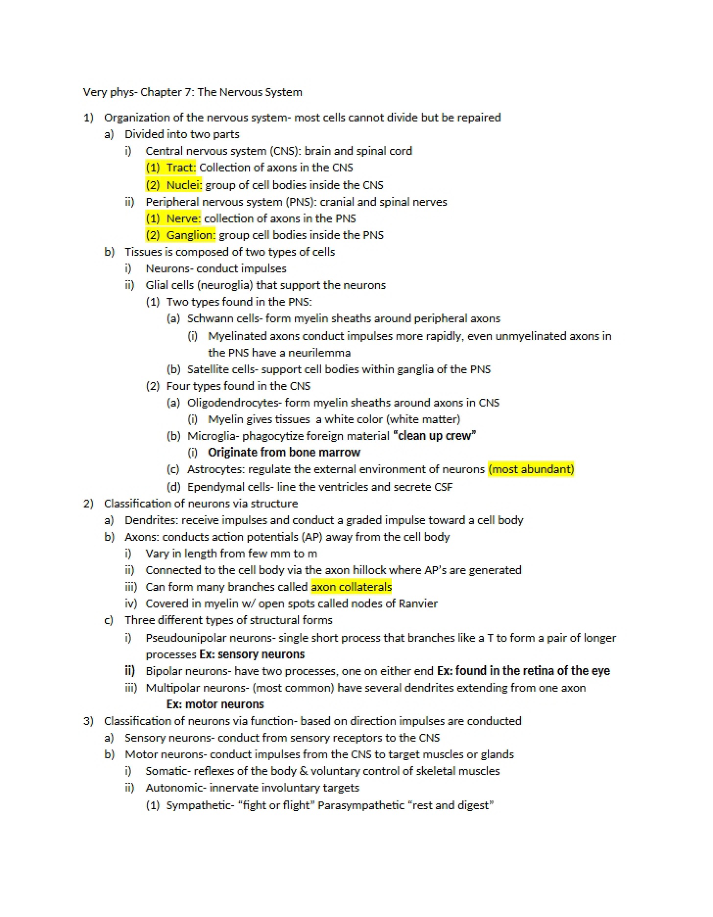 Nervous System (Chapter 7)