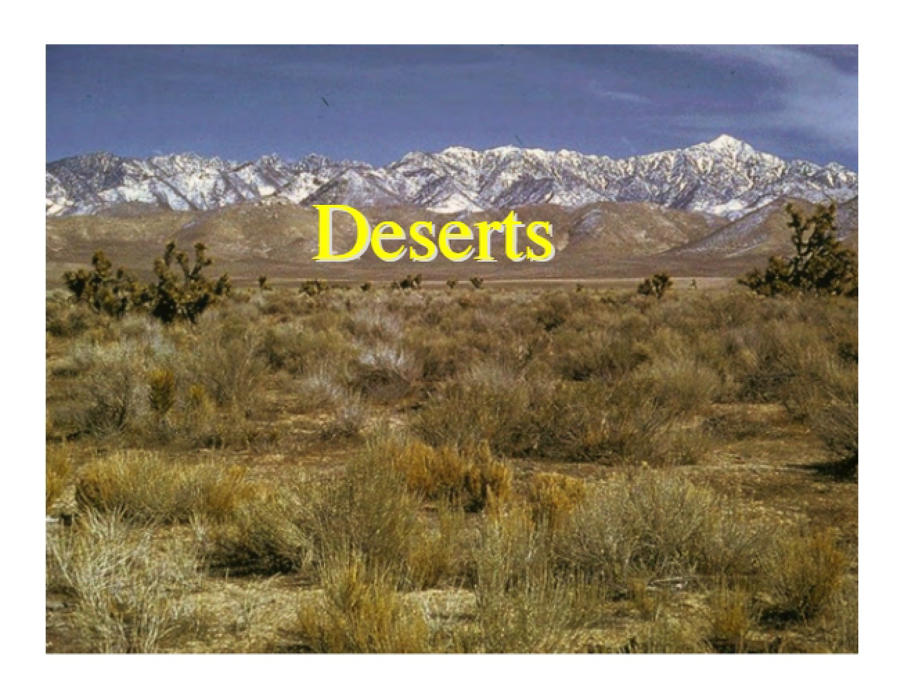 Desert Biomes
