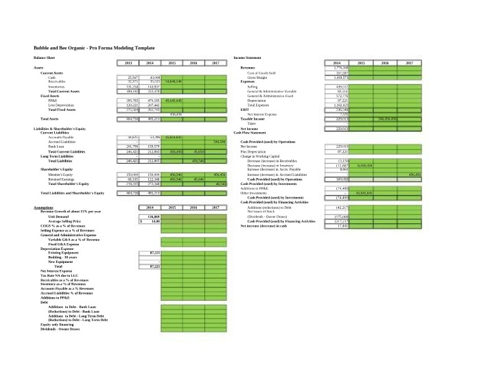 Pro Forma Modeling Template - Bubble and Bee Organic