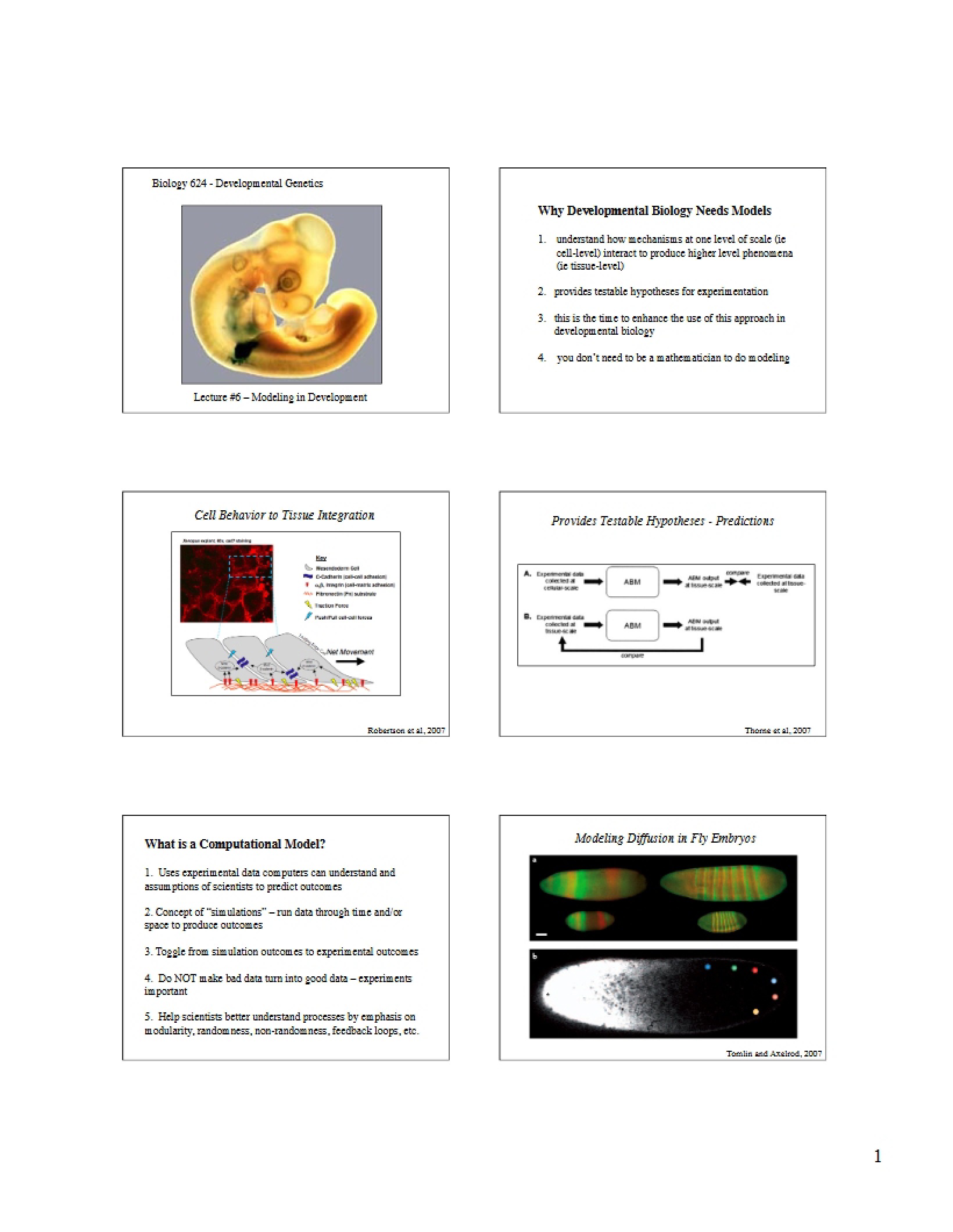 Modeling in Development Lecture 6