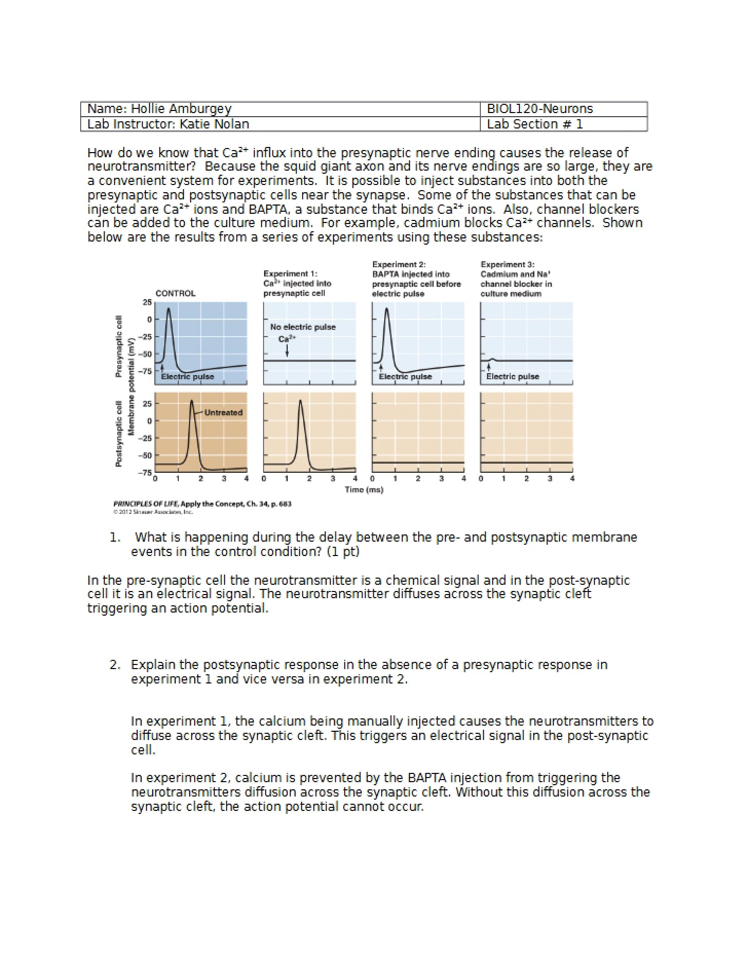 Short Answer Neuromuscular (Student Ver. Feb 11)