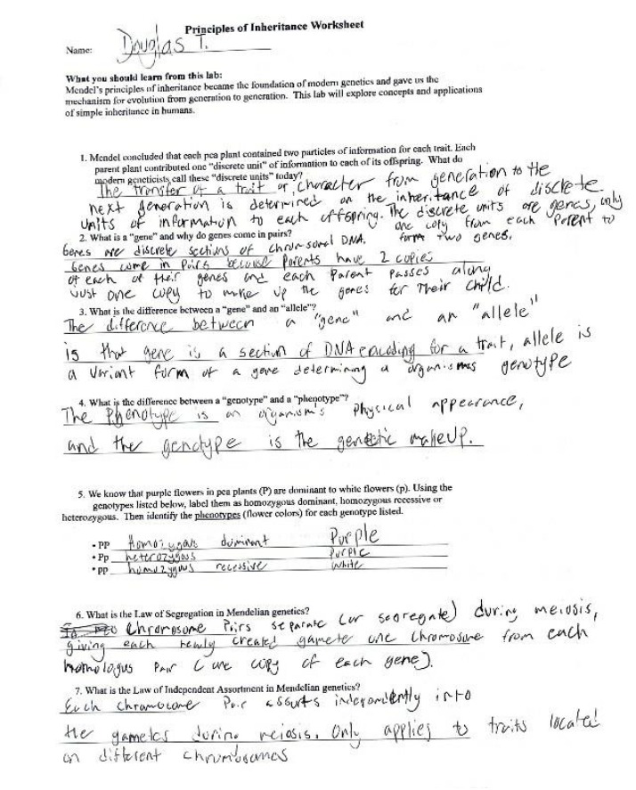 Worksheet on Principles of Inheritance