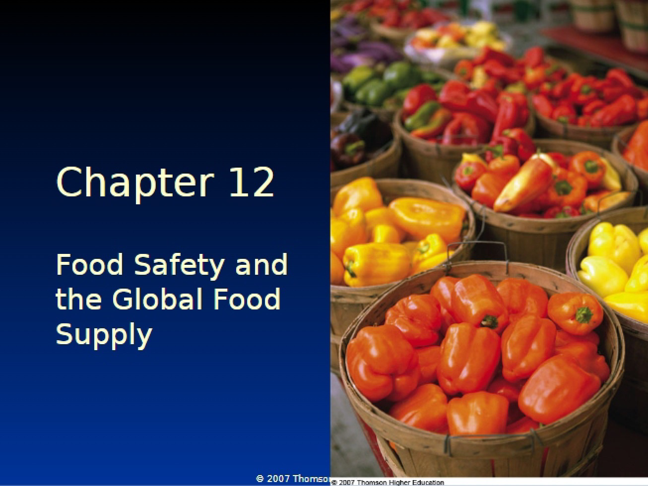 Global Food Supply and Safety Issues