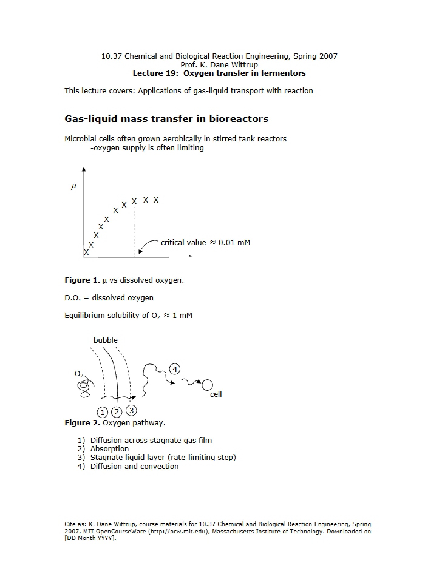 Fermentor Oxygen Transfer