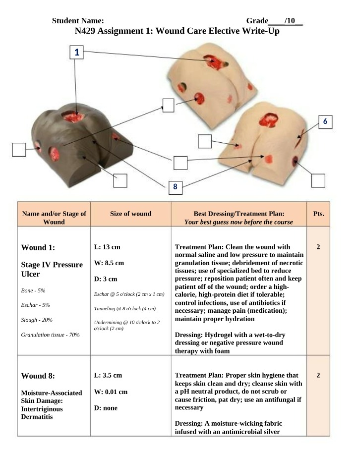 Wound Care Elective Write-Up - N429 Assignment 1