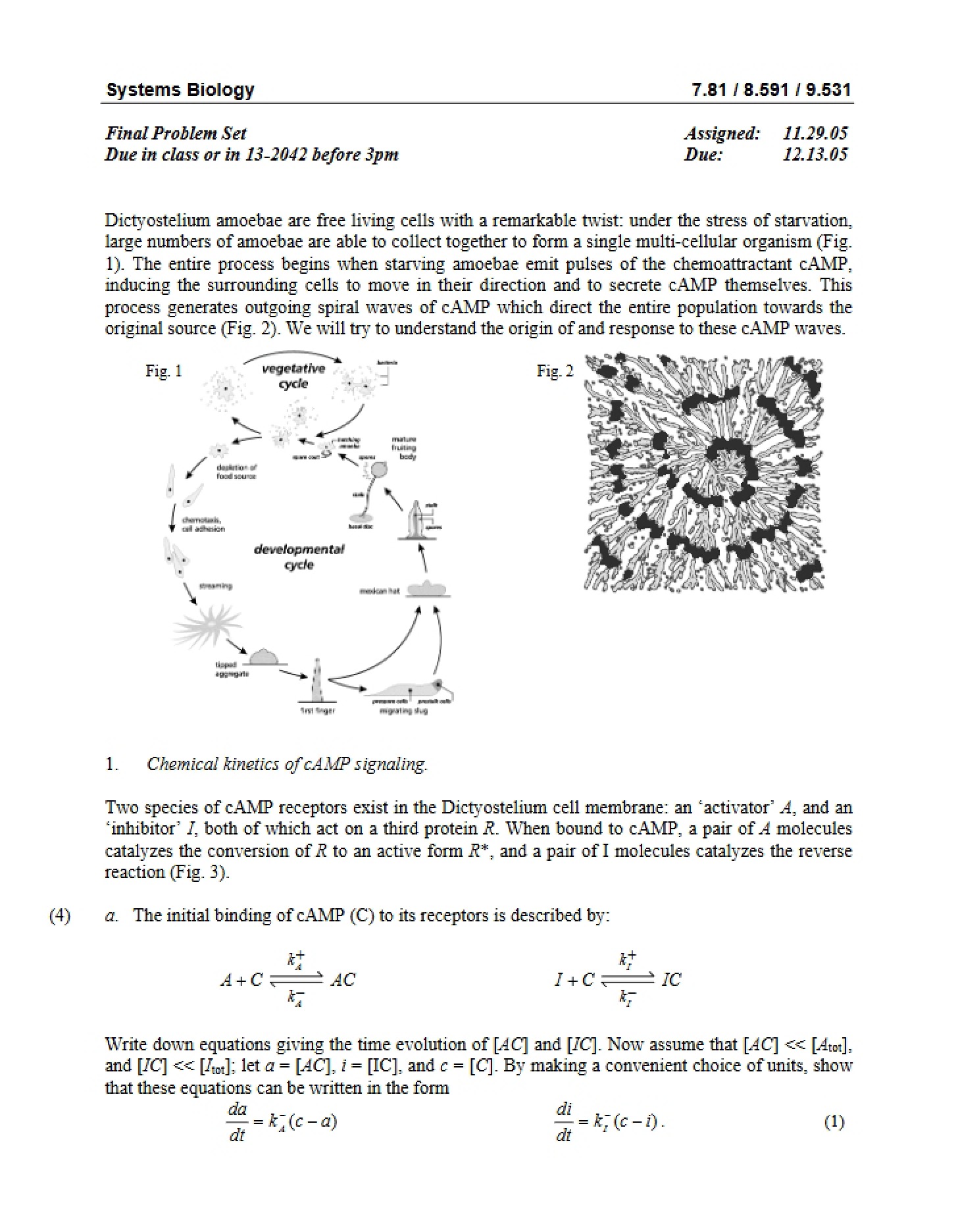Problem Set Final