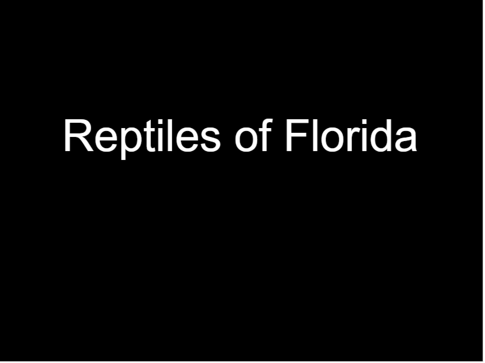 Reptile Overview