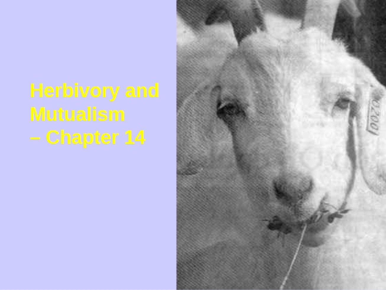 Chapter 14 Mutualism and Herbivory - Ecology