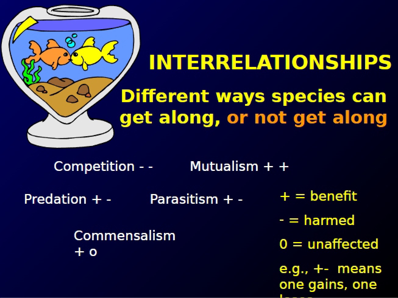 Introduction to Interrelationships in the Southwest