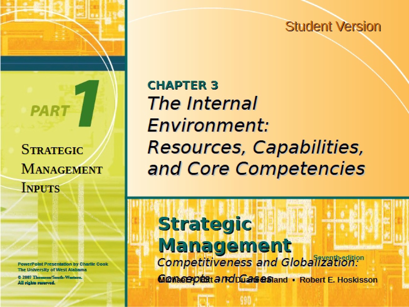Internal Environment Analysis