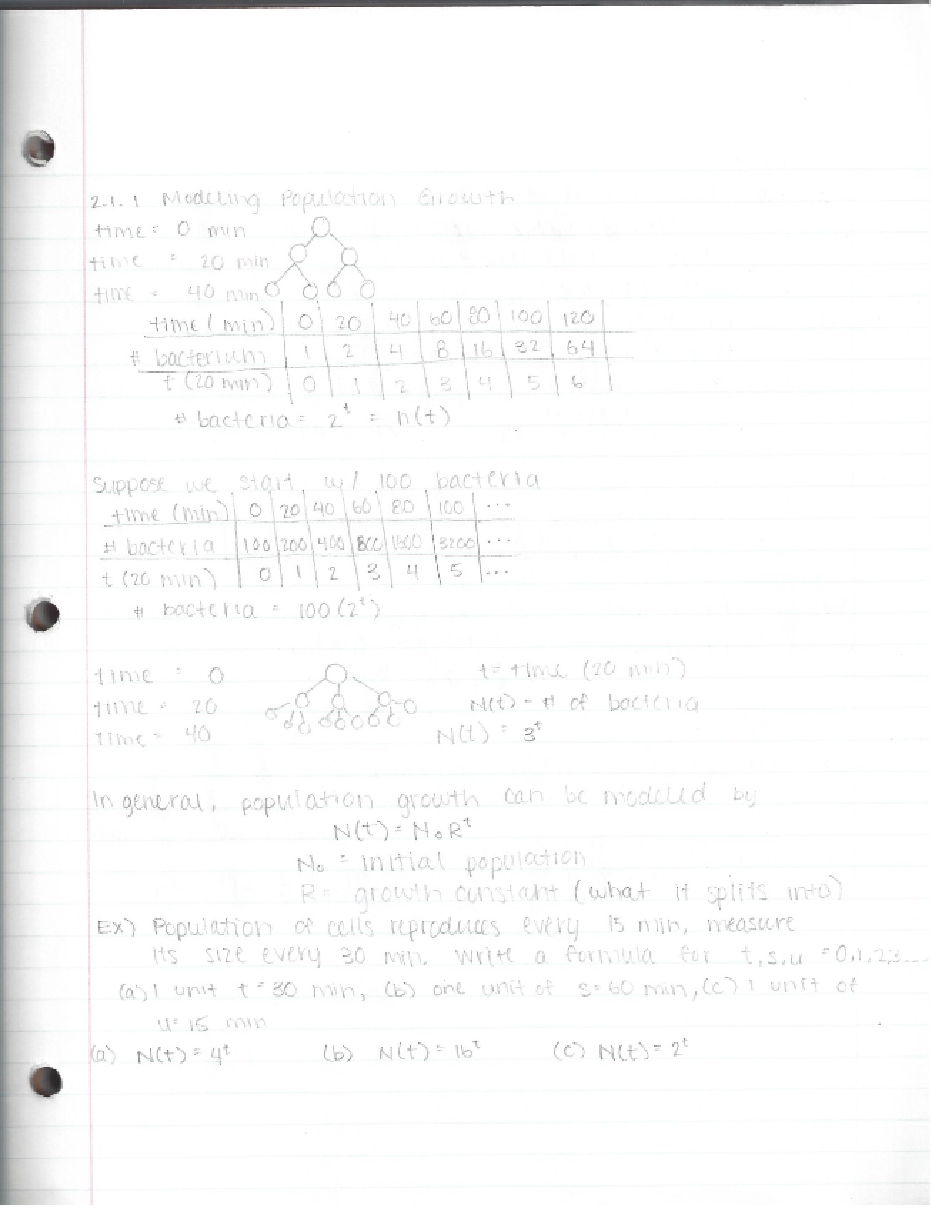 Calculus for Life Sciences II Lecture Notes