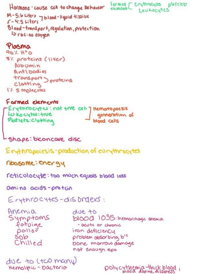 Components of Blood - Erythrocytes and Leukocytes