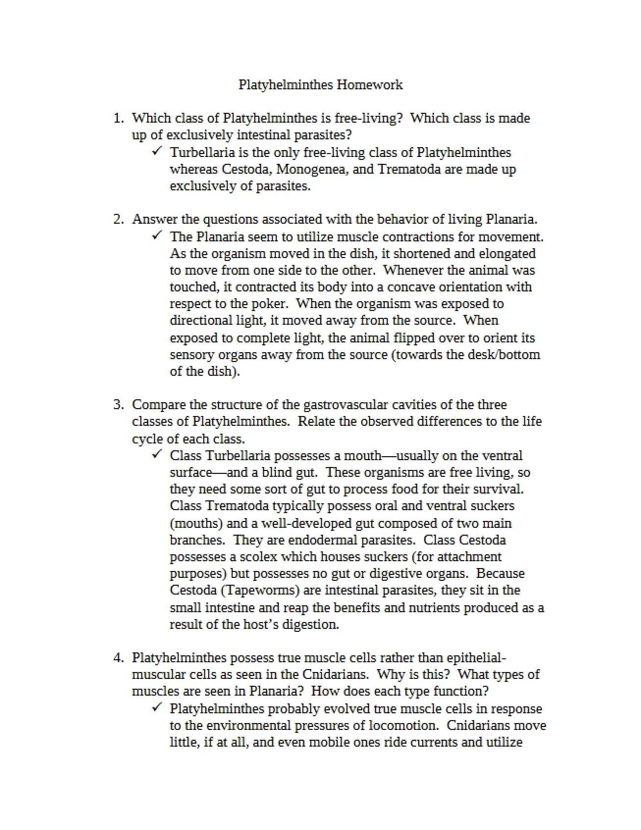 Homework on Platyhelminthes