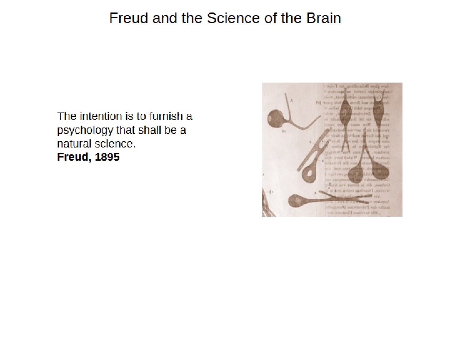 Brain Science and Freud