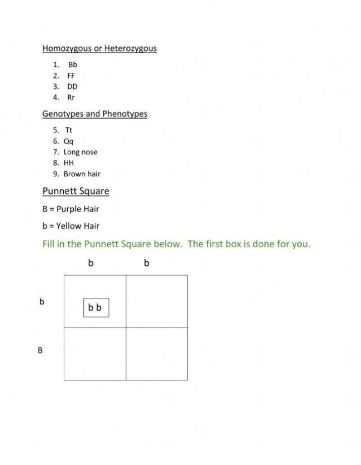 Practice for Punnett Squares
