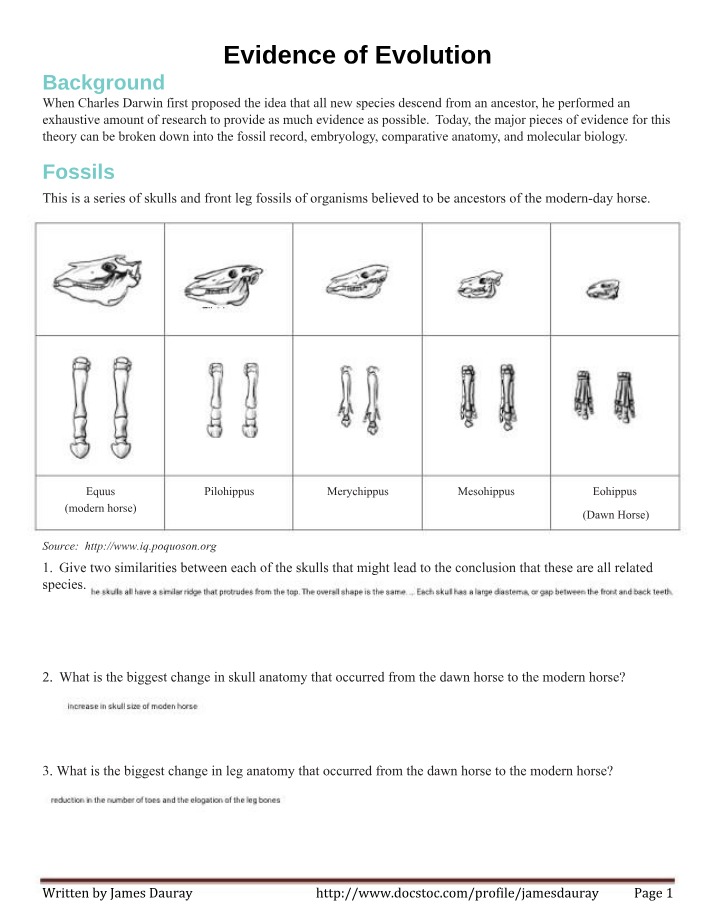 Evolutionary Evidence - Fossils, Embryology, and Anatomy