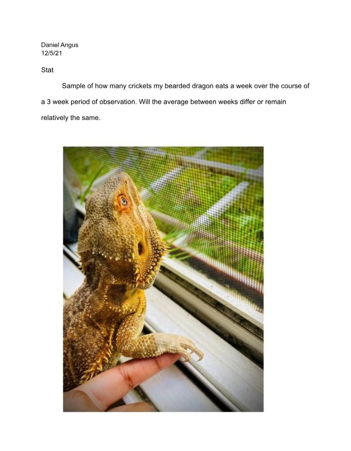 Weekly Cricket Consumption by Bearded Dragons