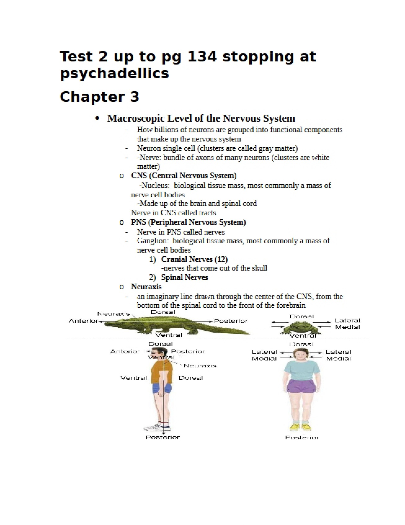 Physiological Psychology Exercise Two