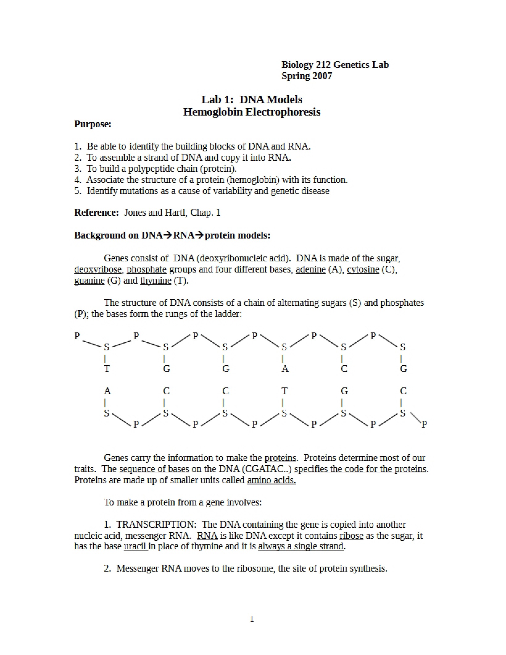 Electrophoresis of Hemoglobin