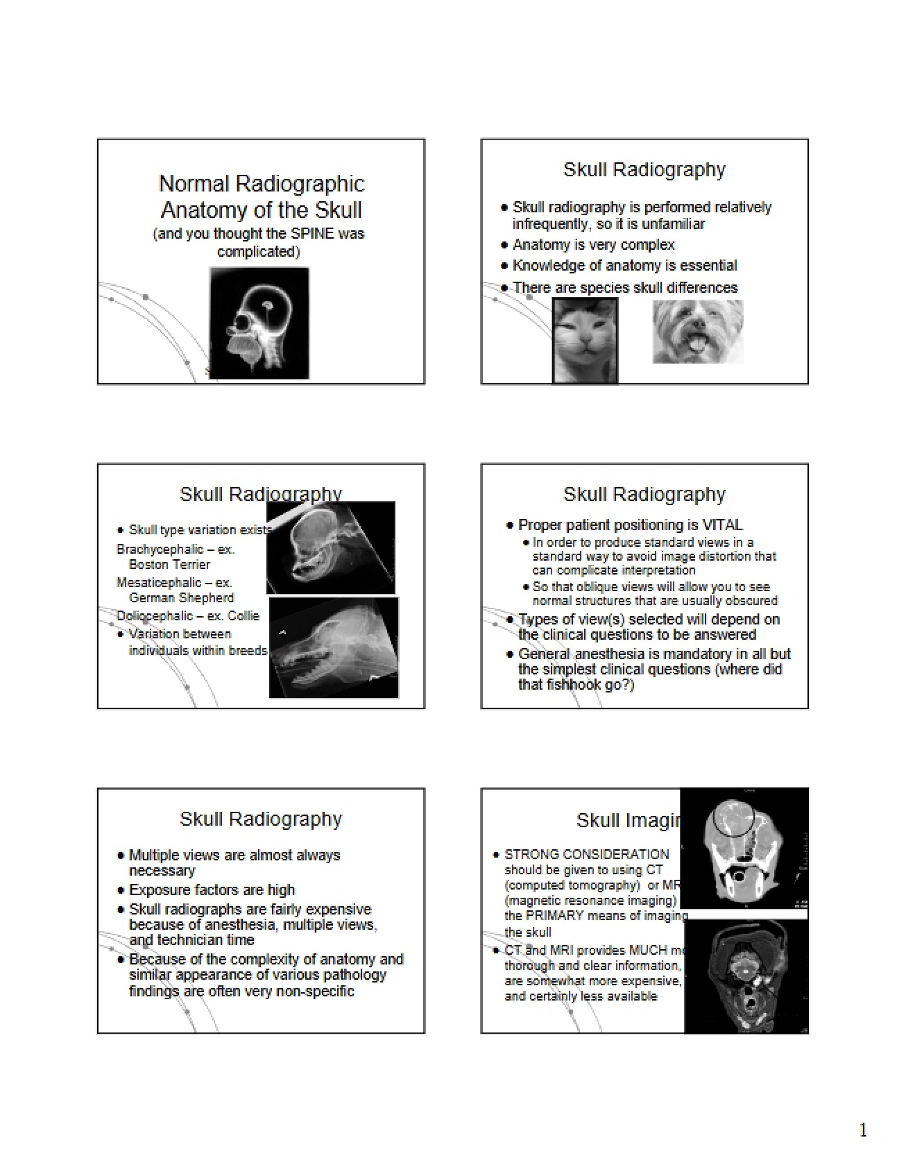 Skull Anatomy Normal Radiographic Views