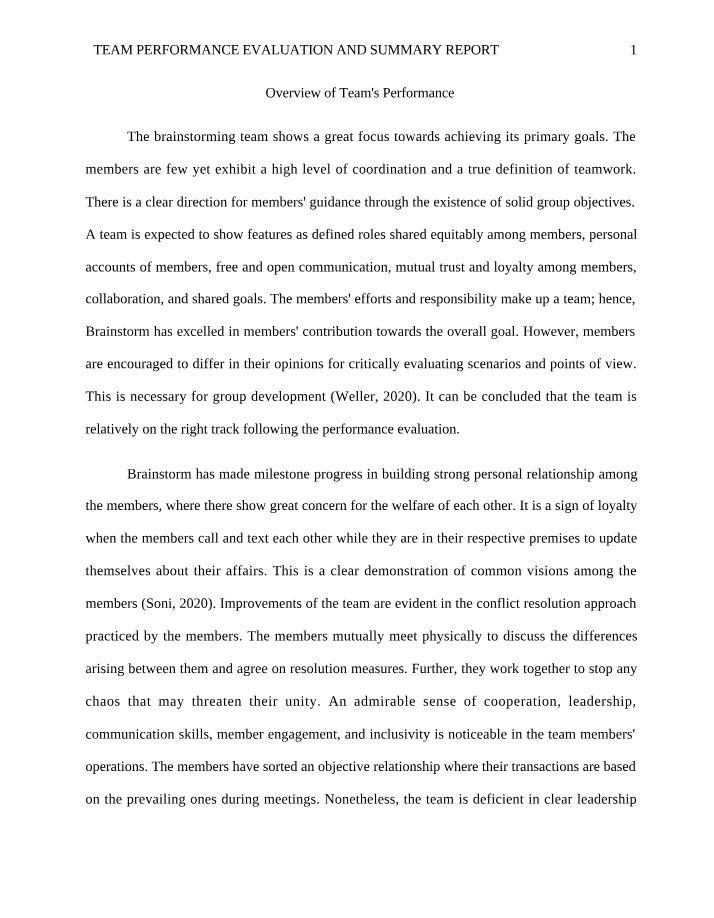 Summary Report on Team Performance Evaluation