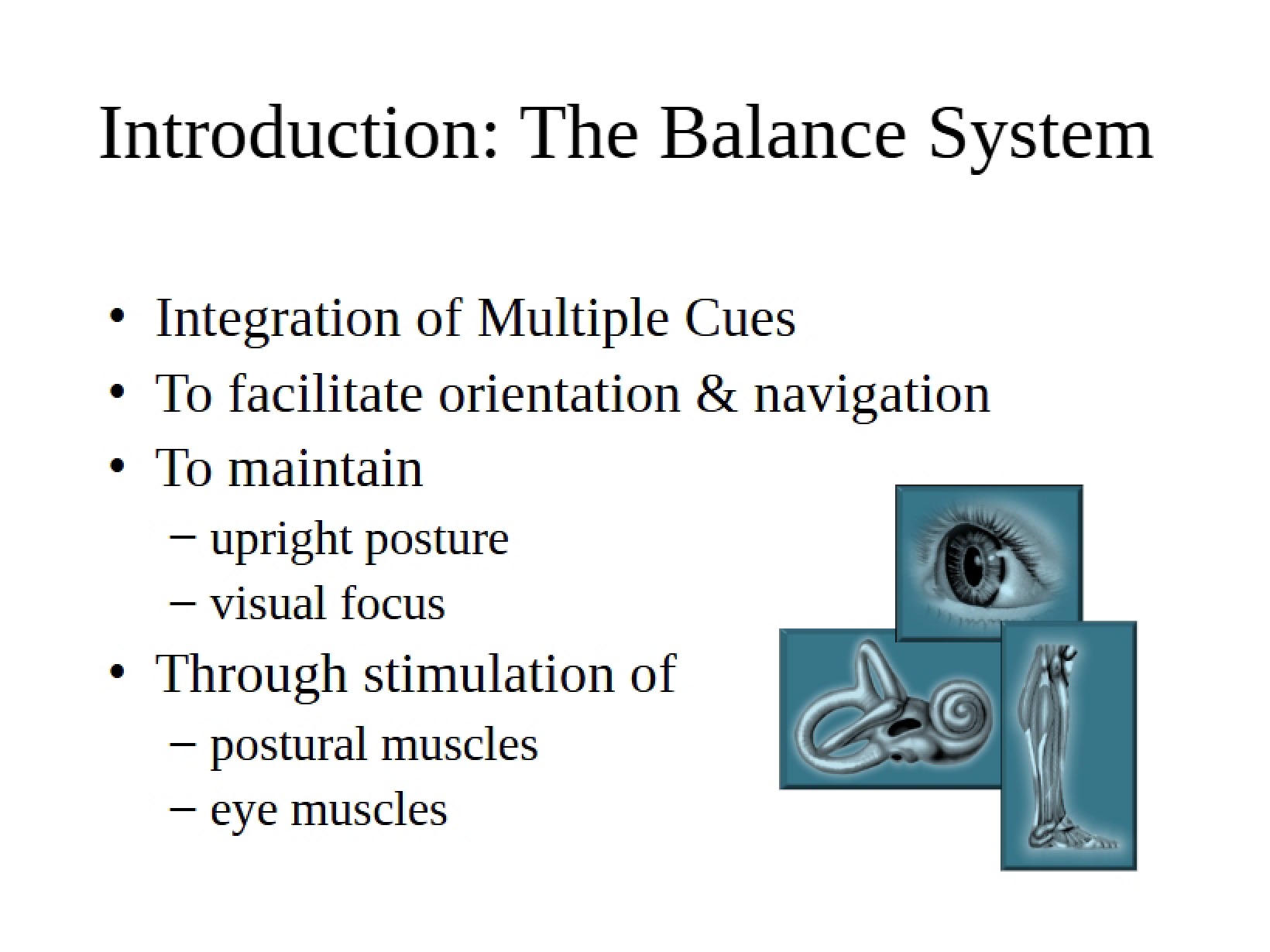 Balance System Introduction