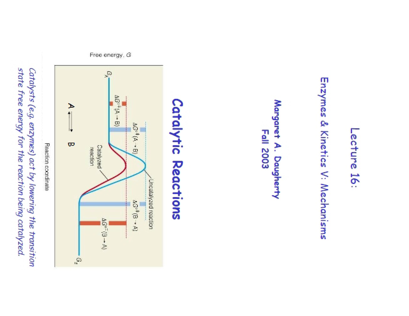 Enzyme Mechanisms and Kinetics V