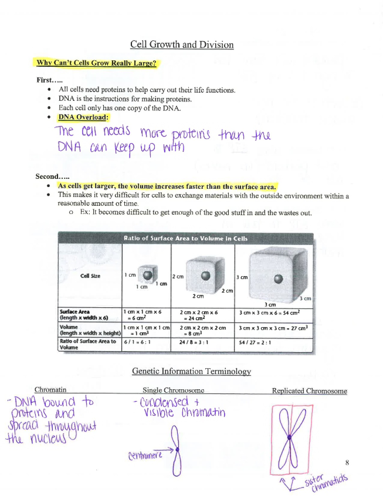 Division and Growth of Cells